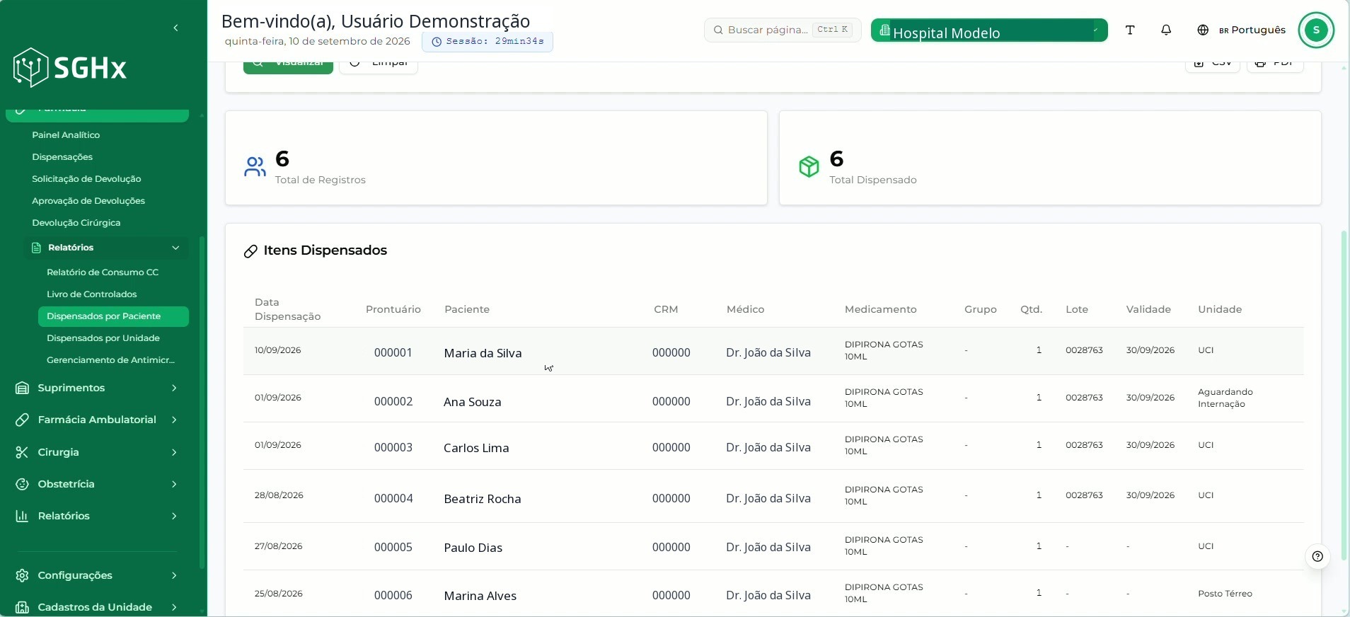 Resultado do relatório com os indicadores Total de Registros e Total Dispensado e a seção Itens Dispensados