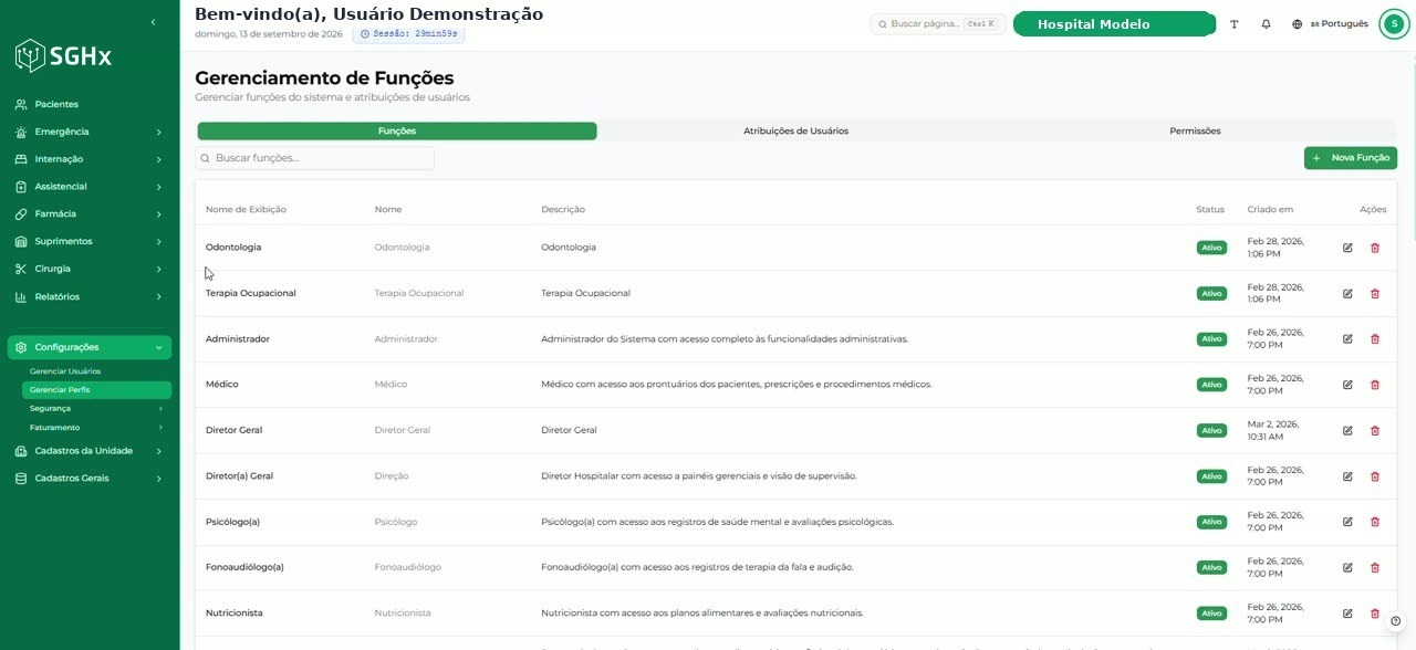 Tela Gerenciamento de Funções aberta pelo menu lateral, com as abas Funções, Atribuições de Usuários e Permissões