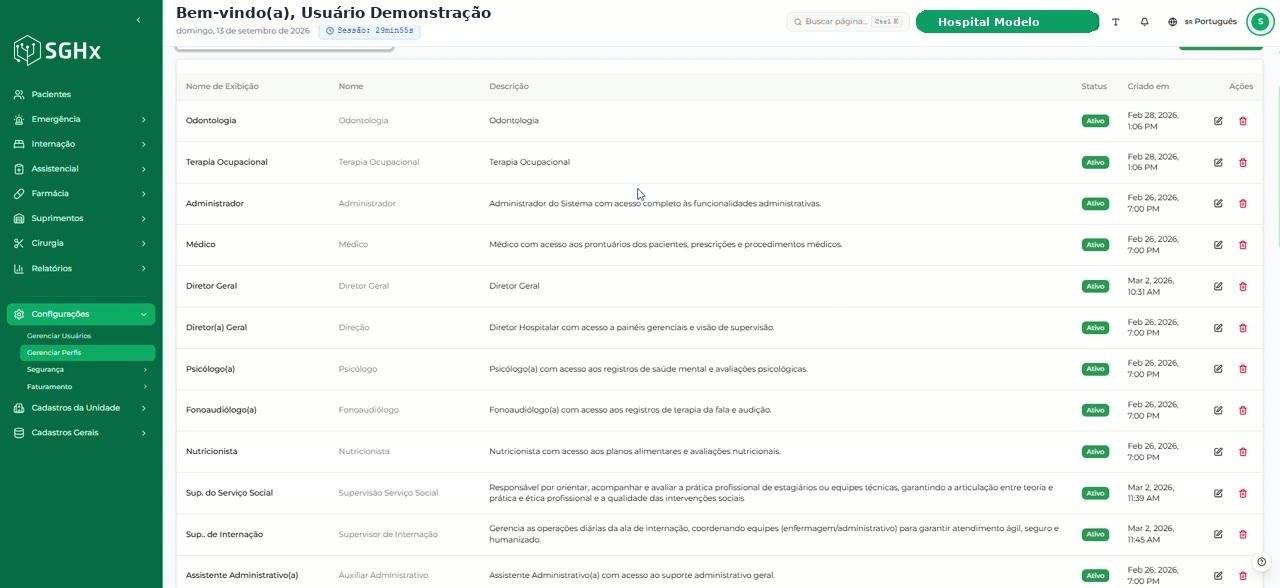Listagem de funções com as colunas Nome de Exibição, Nome, Descrição, Status, Criado em e Ações